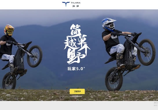 探驪動(dòng)力科技（重慶）有限公司